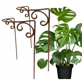    2× Supporto per piante, cespugli, fiori, PERGOLA, massiccio, 40/80 cm, 2 pz, rotondo