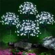  4 pz LAMPADA SOLARE DA GIARDINO COLORATA 240 LED LAMPADE SOLARI DANDELOM