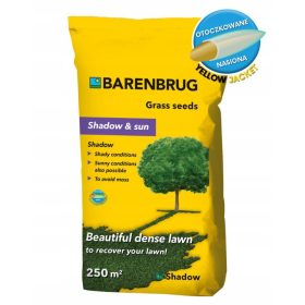  Barenbrug Erba ornamentale rivestita di ombra e sole 5 kg