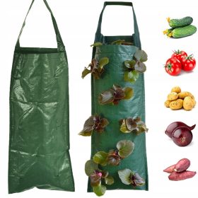  Accessorio bonsai 21146088