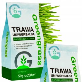    Erba decorativa, miscela di erba, giardino Greengrass 600 m² 15 kg