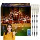 4x LAMPADA SOLARE DA GIARDINO A LED PER ALBERO Tarassaco FUOCHI D'ARTIFICIO 480LED REMOTO