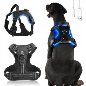    PETTORINA PER CANE CON CANDELE A LED FORTE, SENZA PRESSIONE, LEGGERA, DUREVOLE CON MANIGLIA