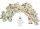  LEGO Figura 5 pezzi Scheletro scheletro scheletro gen047