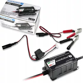    RADDRIZZATORE CARICABATTERIE PER BATTERIE BARCA E MOTO 6V/12V 1A