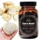 Integratore Lion's Mane per Memoria e Concentrazione - 60 Capsule