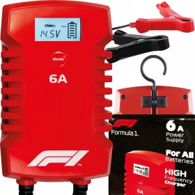 Raddrizzatore automatico Formula 1 10794F1 BC260 6/12 V