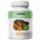  Estratto di Chaga (Inonotus obliquus) - Integratore Ricco di Sostanze Bioattive 