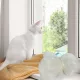  RETE PROTETTIVA DI SICUREZZA PER GATTI GATTI BALCONE PORTA FINESTRA TERRAZZO 5x5m