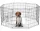  Box per cani Preston in acciaio verniciato a polvere di piccola taglia 205 x 205 x 61 cm