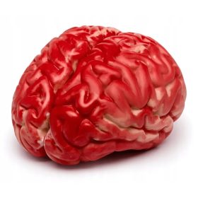  Gadget Regalo cervello artificiale