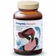 OmegaMe Prenatal - Integratore per Donne in Gravidanza e Allattamento - 60 Capsule