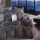 Set di Biancheria da Letto in Cotone Raso Premium 160x200 cm - Varie Fantasie
