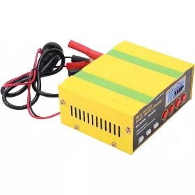  Caricabatteria Auto 12V 24V Multifunzionale 220W
