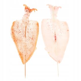    .Modello di corda per barbecue decorativo Modello per carne e verdure Combo_5