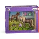  SCHLEICH HORSE CLUB 42363 CAVALIERE CON PONY ISLANDA set di cavalli