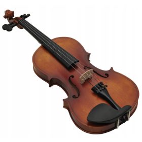  VIOLINO 4/4 - SET INTERO