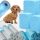 TAPPETINI IGIENICI ASSORBENTI PER CANI CHE IMPARANO A FARE PIPI' 45x60CM 100 PZ