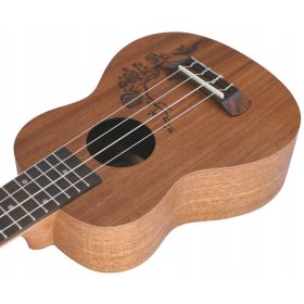  UKULELE SOprano MIX54 + SET DI 10 ACCESSORI