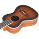  Ukulele da concerto QBT