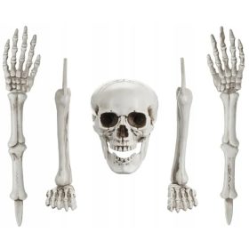    Decorazione Scheletro OSSA Scheletro Teschio Braccia Gambe Halloween 5 pz.