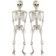  2x SCHELETRI DA APPENDERE 35 cm SET SCHELETRI ORNAMENTO DECORAZIONE HALLOWEEN