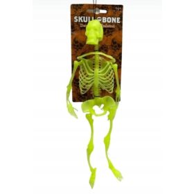    Scheletro luminoso Decorazione di Halloween Fluorescente x 10 pezzi