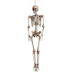    SCHELETRO UMANO XXL DECORAZIONE DI HALLOWEEN DA APPENDERE GRANDE 160 CM SCHELETRO UMANO
