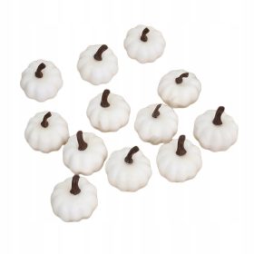    12 mini zucche realistiche zucche da raccolta fai da te in bicolore