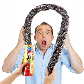    Serpente rimbalzante Patatine fritte Giocattolo serpente Un giocattolo subdolo