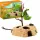  Schleich 42595 MEERCAT BASE LOTTI di suricati millepiedi figure PREMIUM