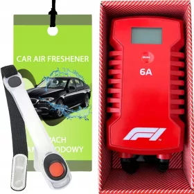    RADDRIZZATORE AUTO PER BATTERIA 6A 6V 12V FUNZIONE RIPARAZIONE SMART F1