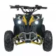 Veicolo ATV RENEGADE HIPERFECT 110CC Giallo