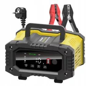    RADDRIZZATORE PER BATTERIE LiFePO4 CARICABATTERIA A MICROPROCESSORE 25A 12V/24V