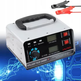    POTENTE RADDRIZZATORE CARICABATTERIA INTELLIGENTE BATTERIA 30A LCD 24V 12V AUTOMATICO