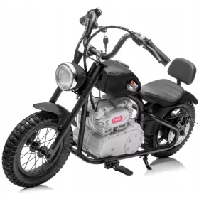  MOTORE 2 RUOTE, RUOTE GONFIATE, BATTERIA 24V, POTENZA 250W