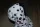  cane mascotte di peluche, adorabile dalmata, 40 cm