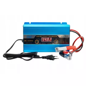    Raddrizzatore caricabatteria da auto Sunchonglic per batterie da 12V