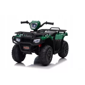  Quad LEANToys 5905323217928 Marrone, Nero, Viola, Blu