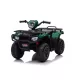  Quad LEANToys 5905323217928 Marrone, Nero, Viola, Blu