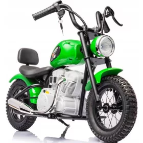  MOTORE 2 RUOTE, RUOTE GONFIATE, BATTERIA 36V, POTENZA 350W