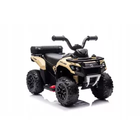  Batteria quadrupla GTS1155 Cachi