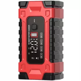    Raddrizzatore AUTOMATICO FUNZIONE RIPARAZIONE PER BATTERIE 12V 24V