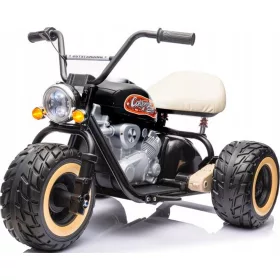    MOTORE 3 RUOTE ALIMENTAZIONE BATTERIA 24V 2 RUOTE MORBIDE da 800W