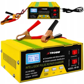    Funzione di riparazione automatica del caricabatteria del raddrizzatore da 12 V e 24 V