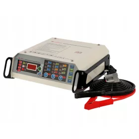    Raddrizzatore inverter per batterie al gel Airpress 77109 12 V 30 Ah
