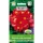  Begonia a fioritura costante, foglie rosse e verdi 0,1 g