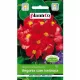  Begonia a fioritura costante, foglie rosse e verdi 0,1 g