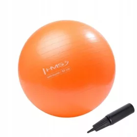    PALLA RIABILITAZIONE 55 cm HMS YB02 PALLA DA GINNASTICA PER ESERCIZI FITNESS