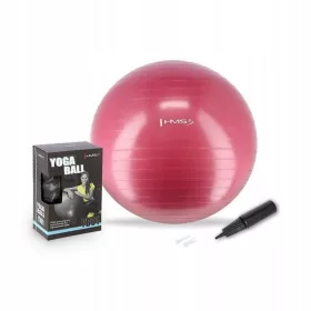    PALLA RIABILITAZIONE 65 cm HMS YB01 PALLA DA GINNASTICA PER ESERCIZI FITNESS